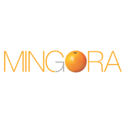 Mingora